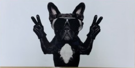 Peace Dog