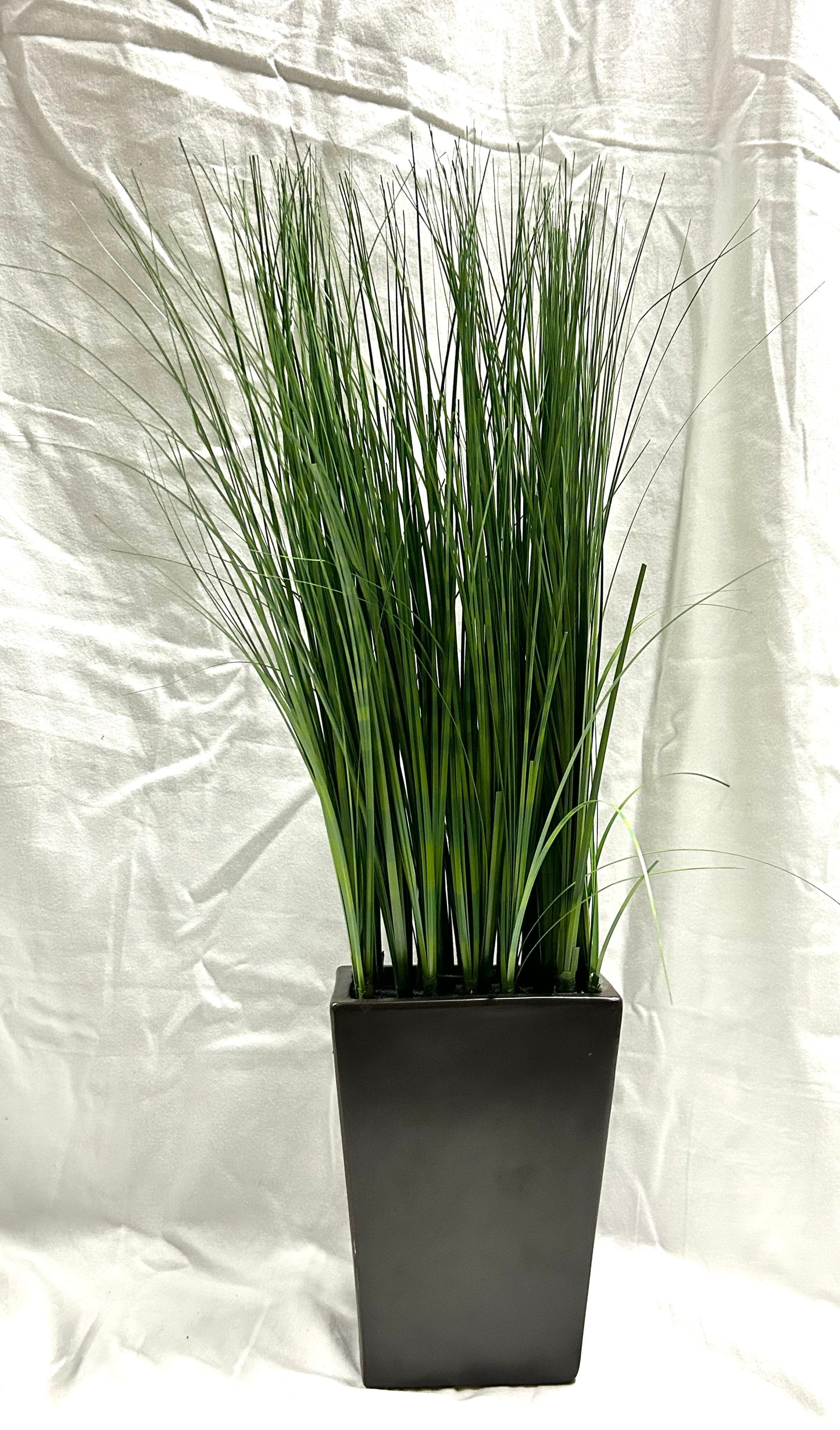 Tall Grass in Brown Pot