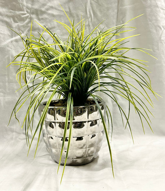 Grass in SIlver Pot