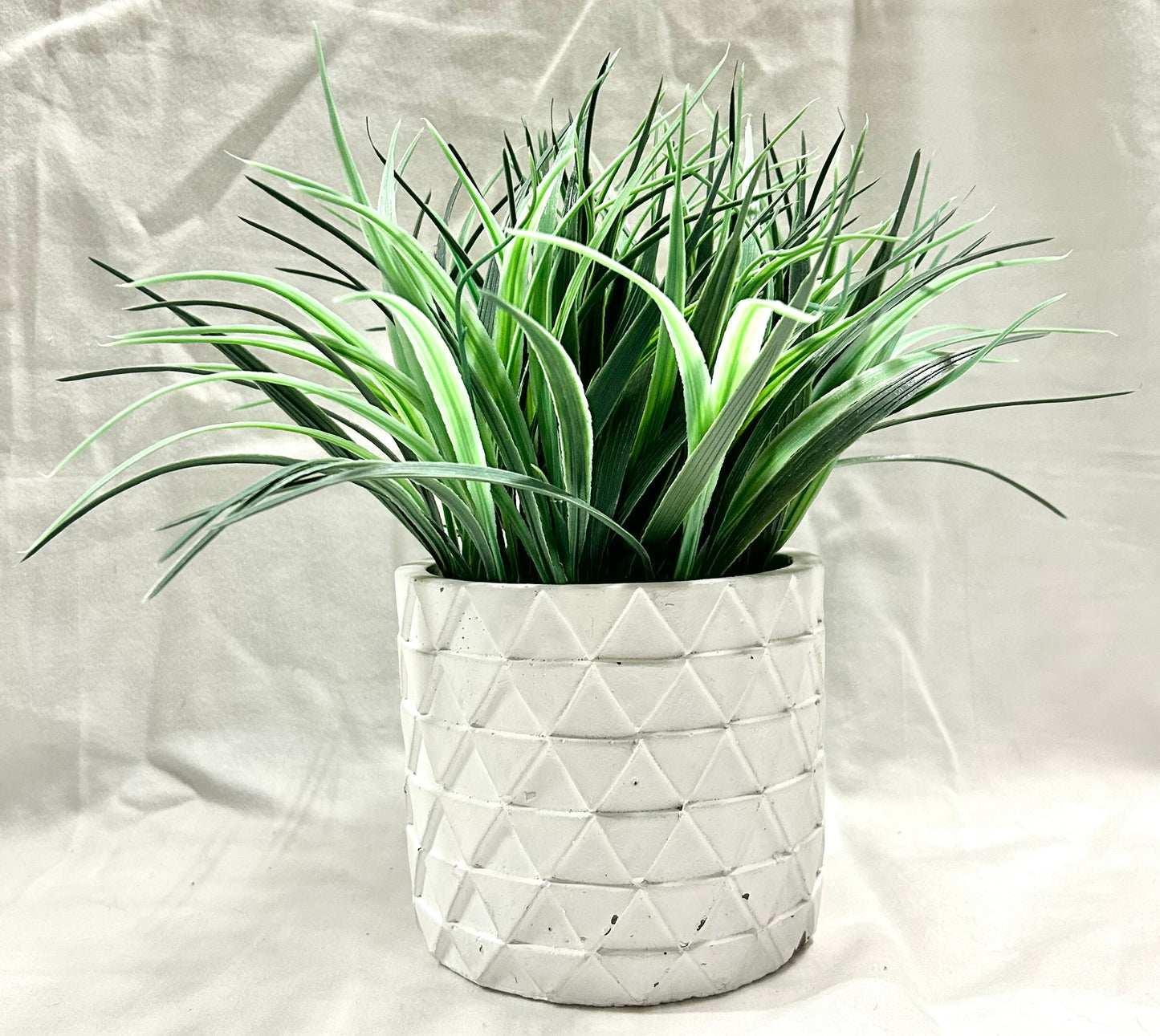 Grass in White Pot