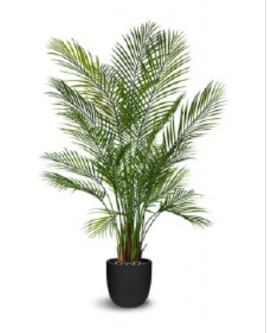 Faux Areca Palm Tree