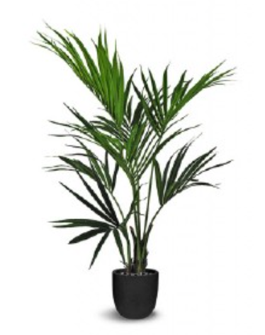 Faux Kentia Palm