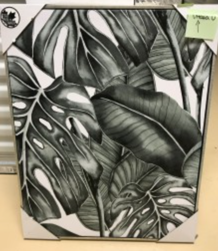 Tropical Art